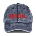 Howard - BISON. Distressed Dad Cap