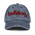 SCSU - BULLDOG Distressed Denim Dad Cap __etsy:7379575387