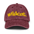 BCU - WILDCAT. Distressed Denim Dad Cap (etsy image id: 7379591081)