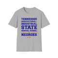 TSU - Tennessee A&I State Normal School For Negroes Unisex T-Shirt or Sweatshirt (etsy image id: 7584288707)
