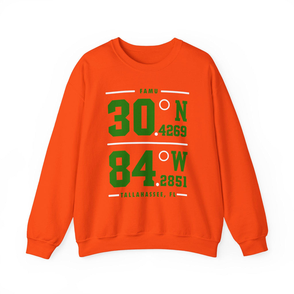 FAMU - Coordinated Unisex Tee T-Shirt or Sweatshirt __etsy:7620320351