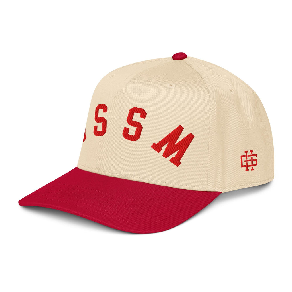5 panel cap __etsy:7704860554