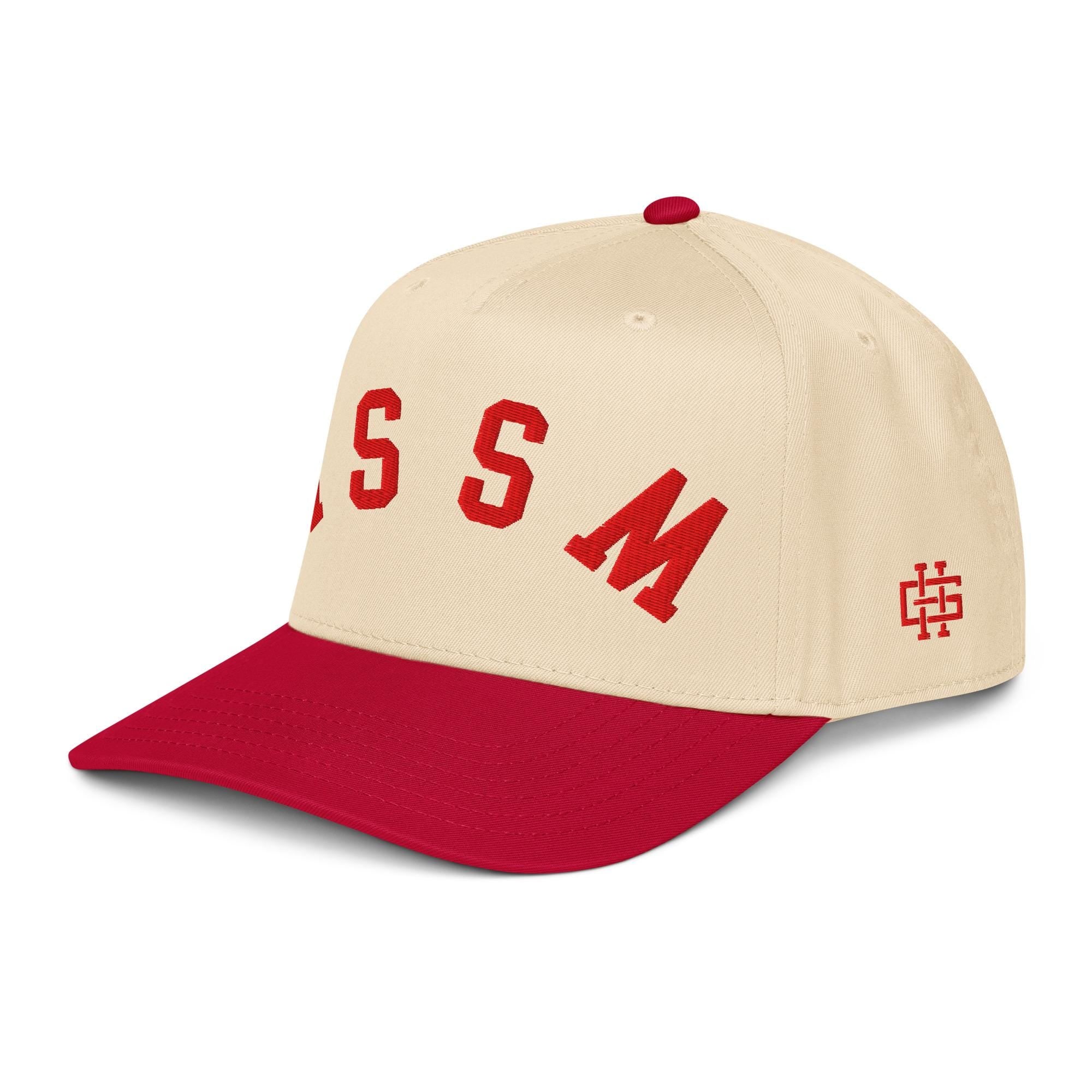 5 panel cap __etsy:7704860554