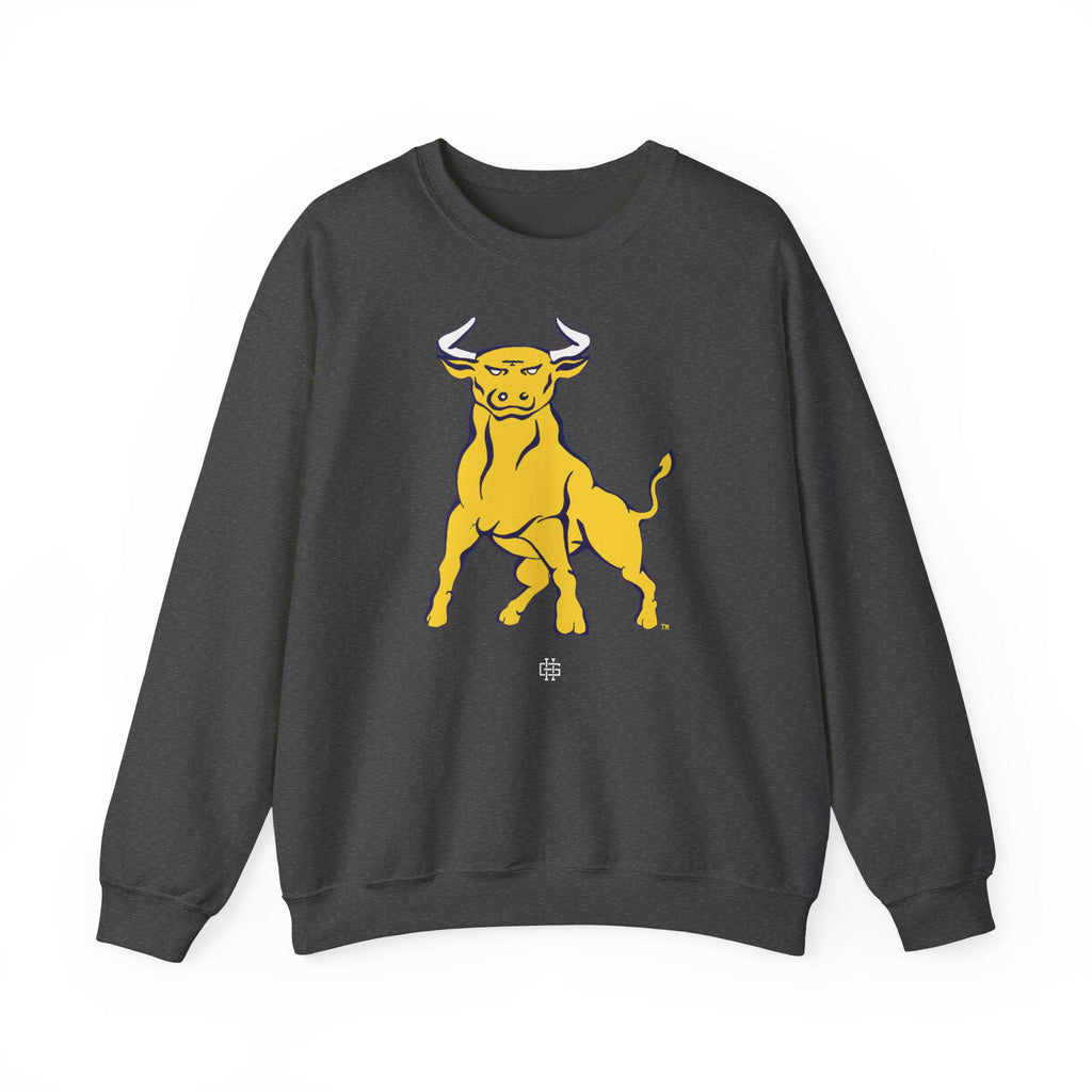 JCSU - Logo Unisex T-Shirt or Sweatshirt (etsy image id: 7823263894)