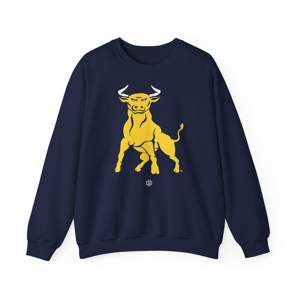 JCSU - Logo Unisex T-Shirt or Sweatshirt (etsy image id: 7871211451)
