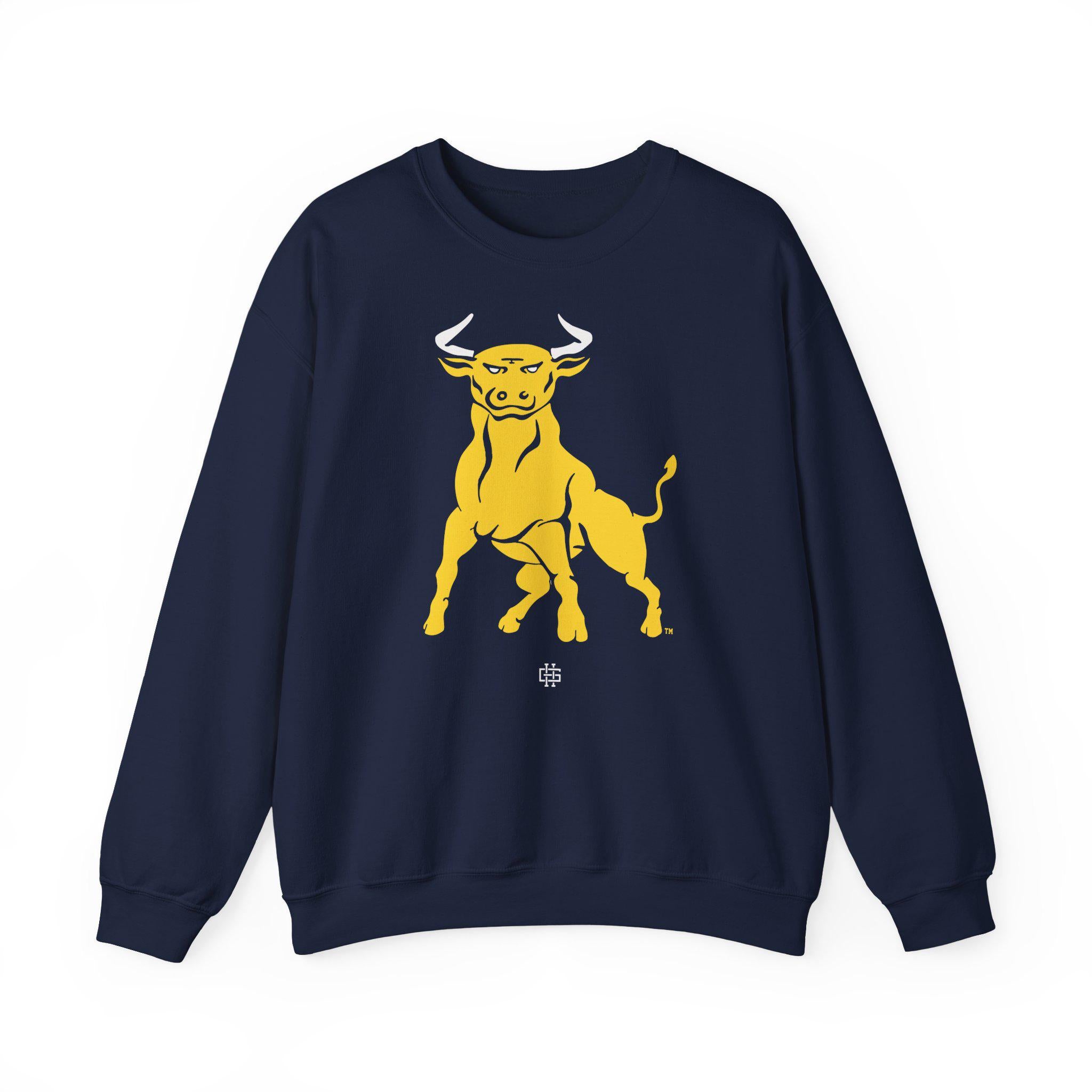JCSU - Logo Unisex T-Shirt or Sweatshirt (etsy image id: 7871211451)