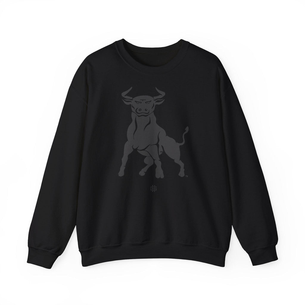 JCSU - Logo Unisex T-Shirt or Sweatshirt (etsy image id: 7871211453)