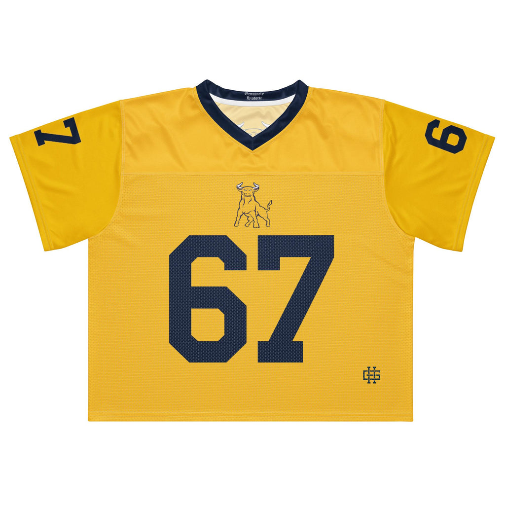 Boxy football jersey (etsy image id: 7875463360)