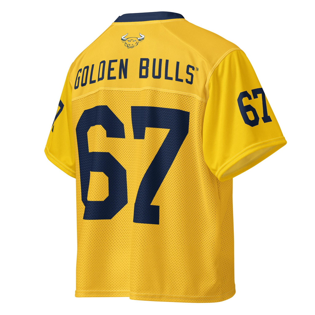 Boxy football jersey (etsy image id: 7875463578)