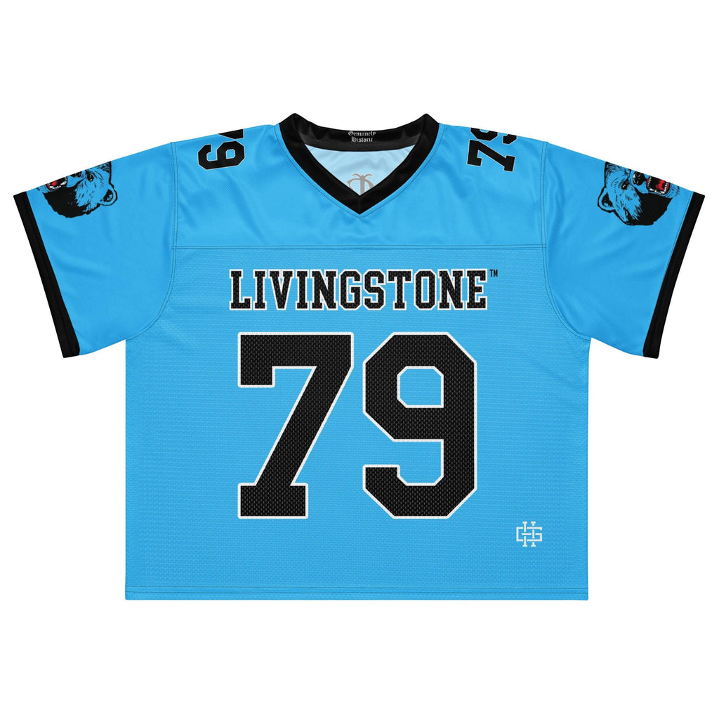 Boxy football jersey (etsy image id: 7923433669)
