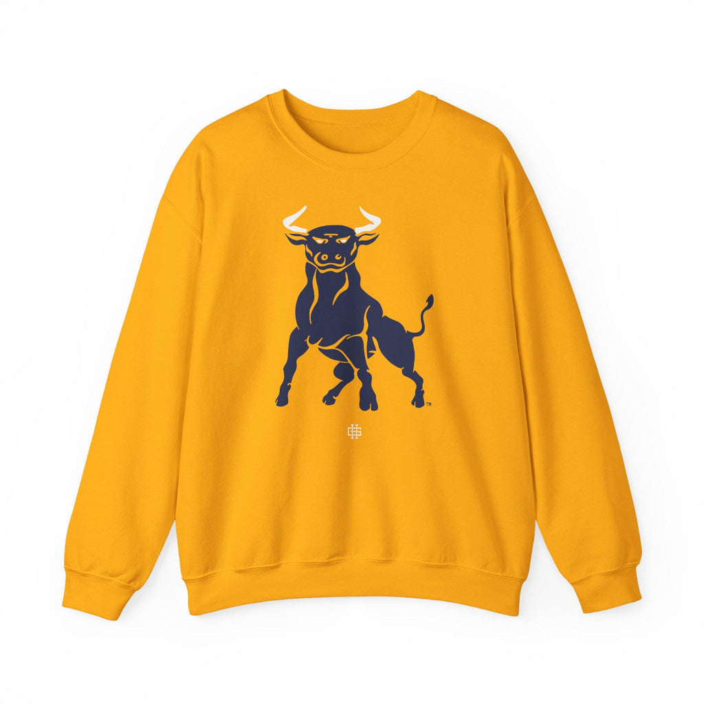 JCSU - Logo Unisex T-Shirt or Sweatshirt (etsy image id: 7963742470)
