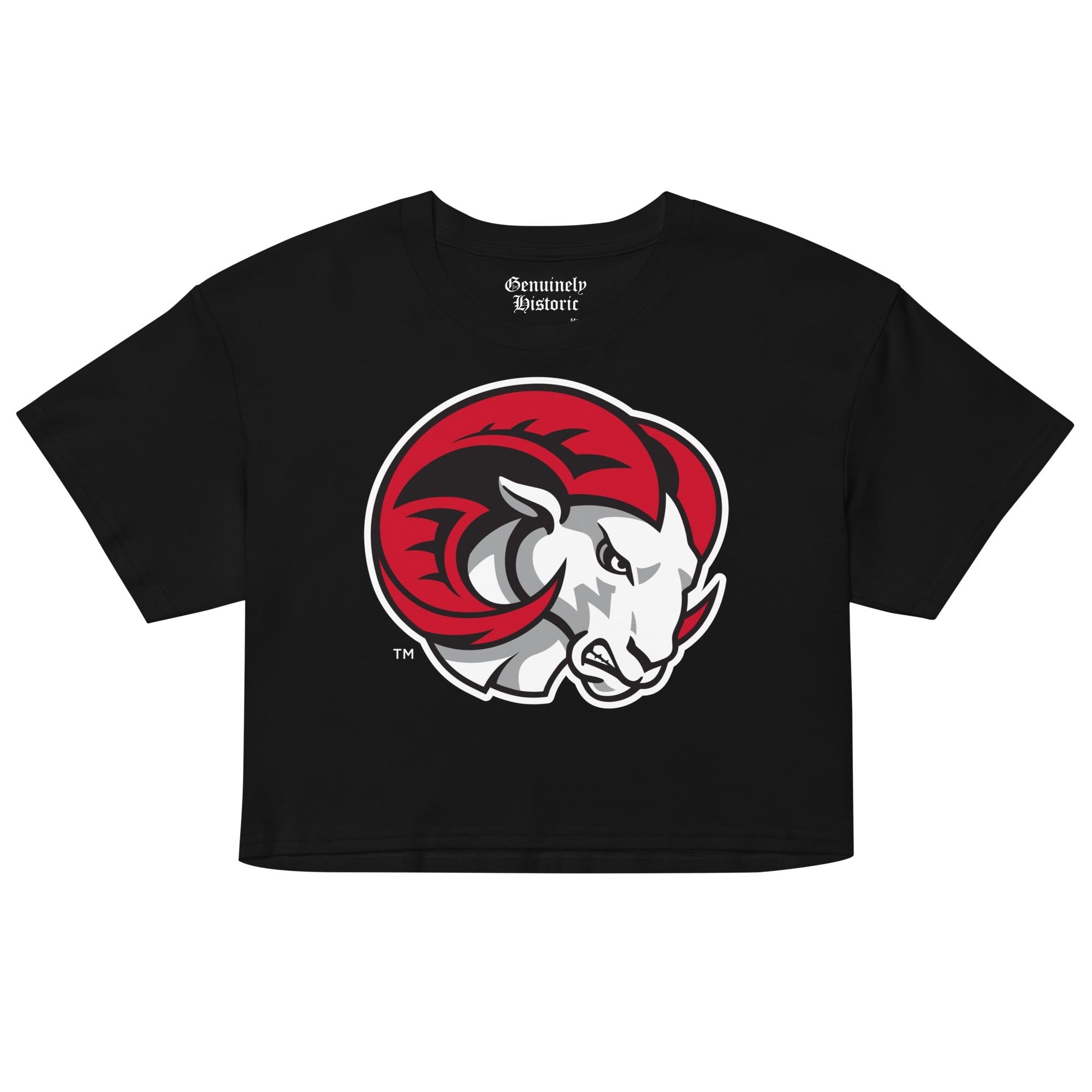 WSSU - Winston Salem State Women’s Logo Crop Top (etsy image id: 7980419163)